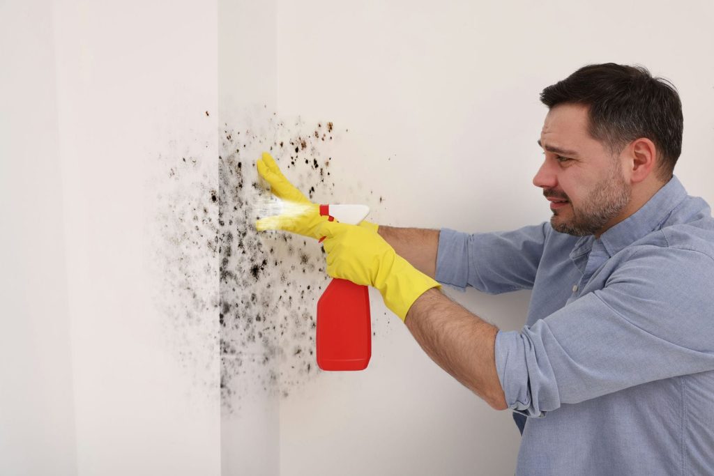 How to Clean Walls and Hard Surfaces